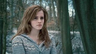 Hermione Granger Harry Potter