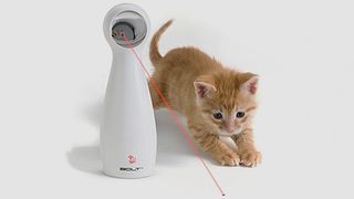 FroliCat Bolt