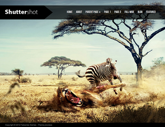 Free WordPress themes: Shuttershot