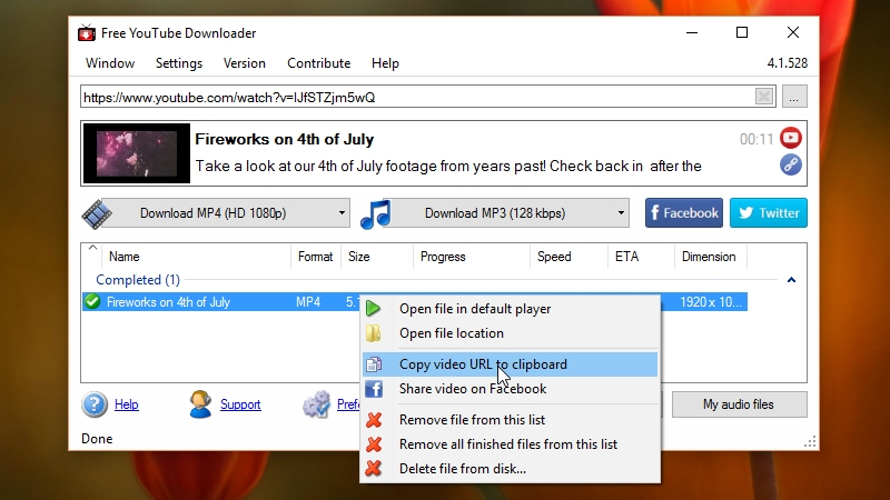 free downloader manager youtube