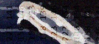 berets or scoop thumb