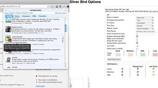 Silver Bird