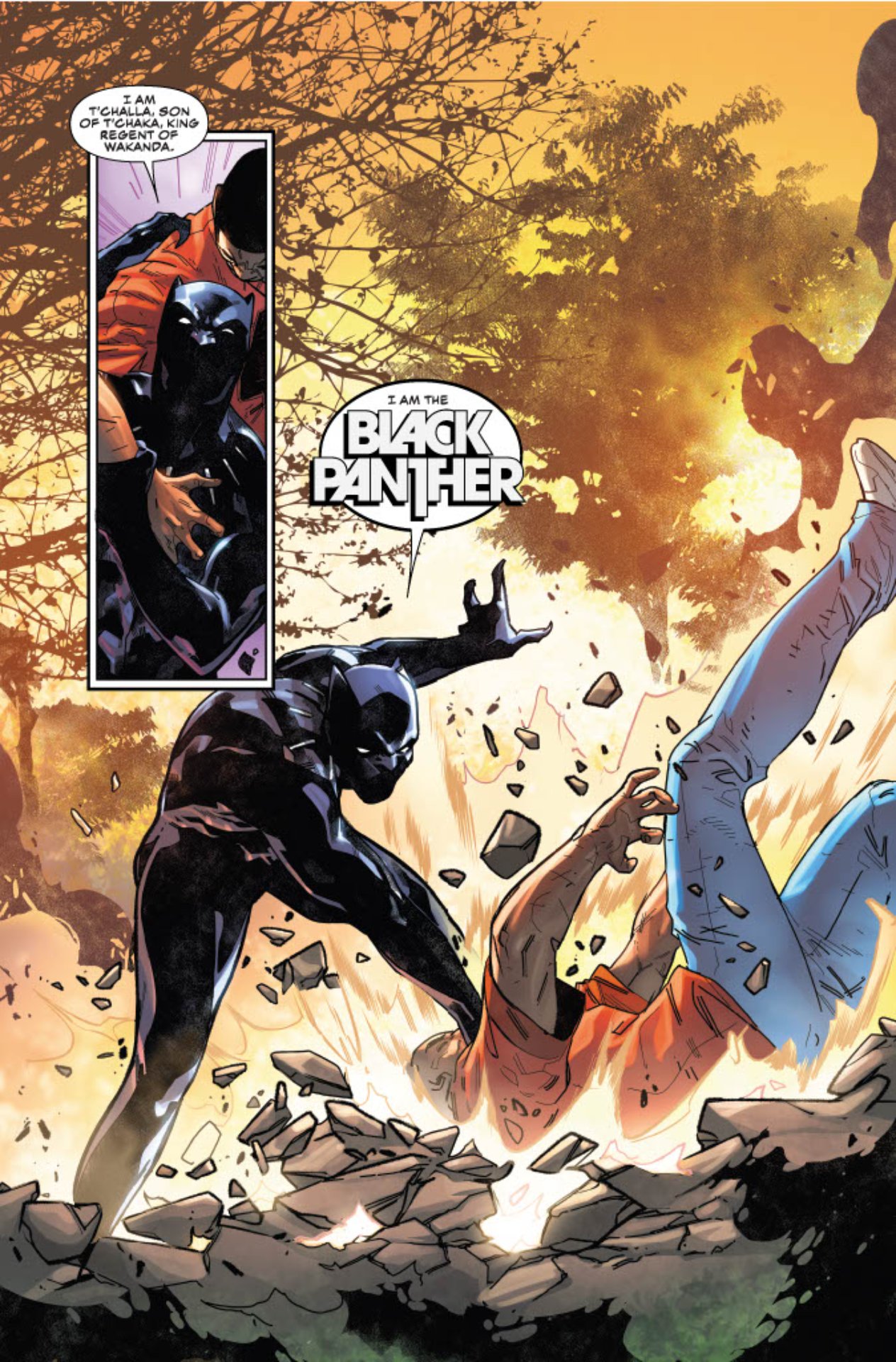 Sam Wilson And Black Panther Go Toe To Toe In Captain America Symbol