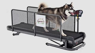 Fit Fur Life Professional Treadmill