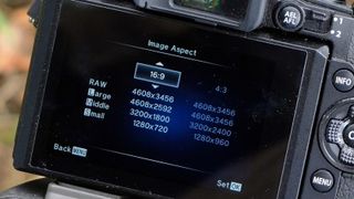 Step 3 Aspect ratio and image size