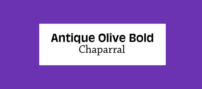 Antique Olive Bold and Chaparral font pairings
