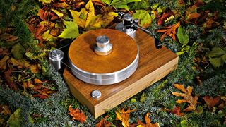 Acoustic solid wood MPX