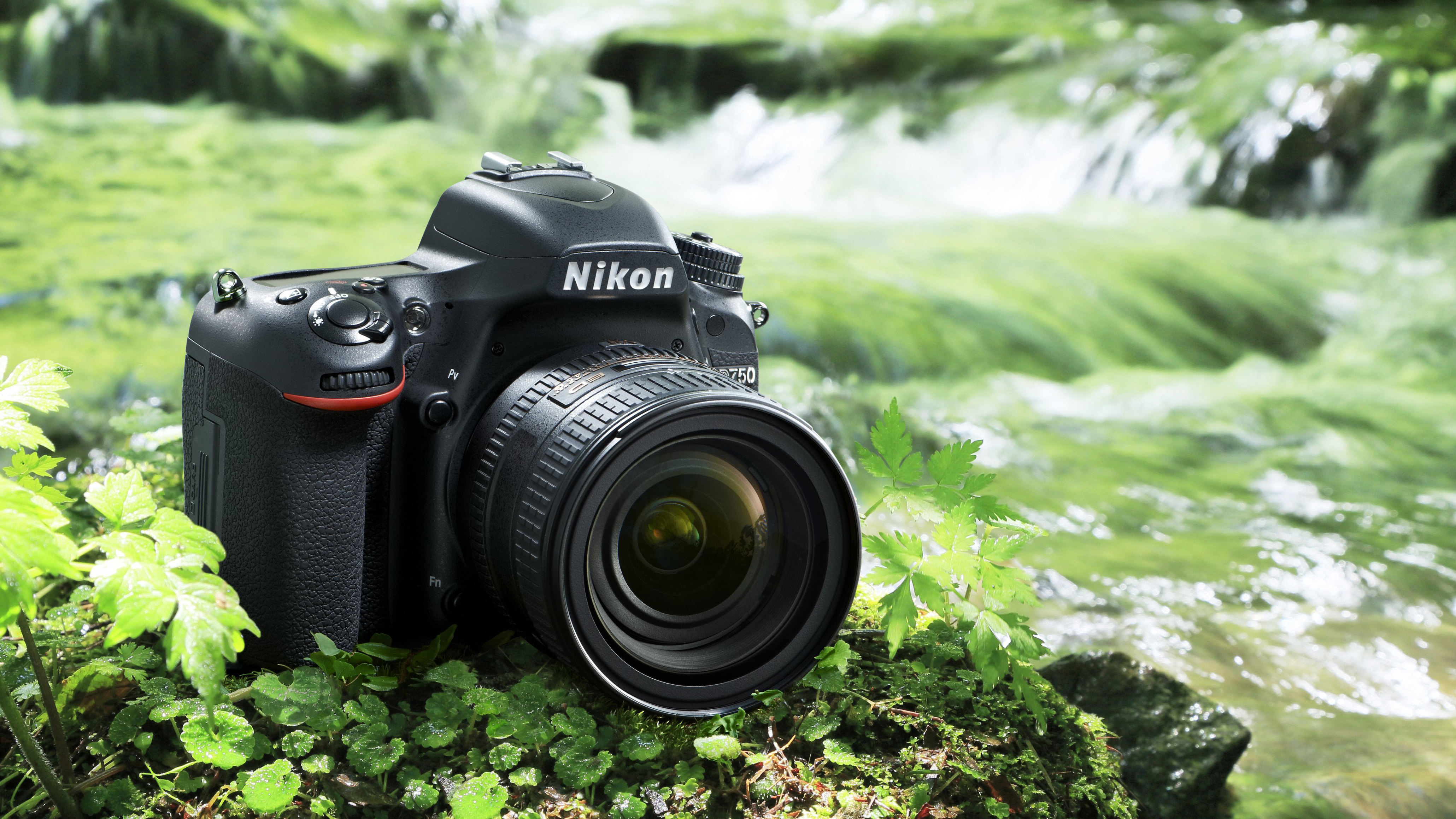 Best camera: Nikon D750
