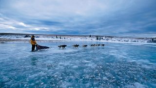 The Iditarod Trail