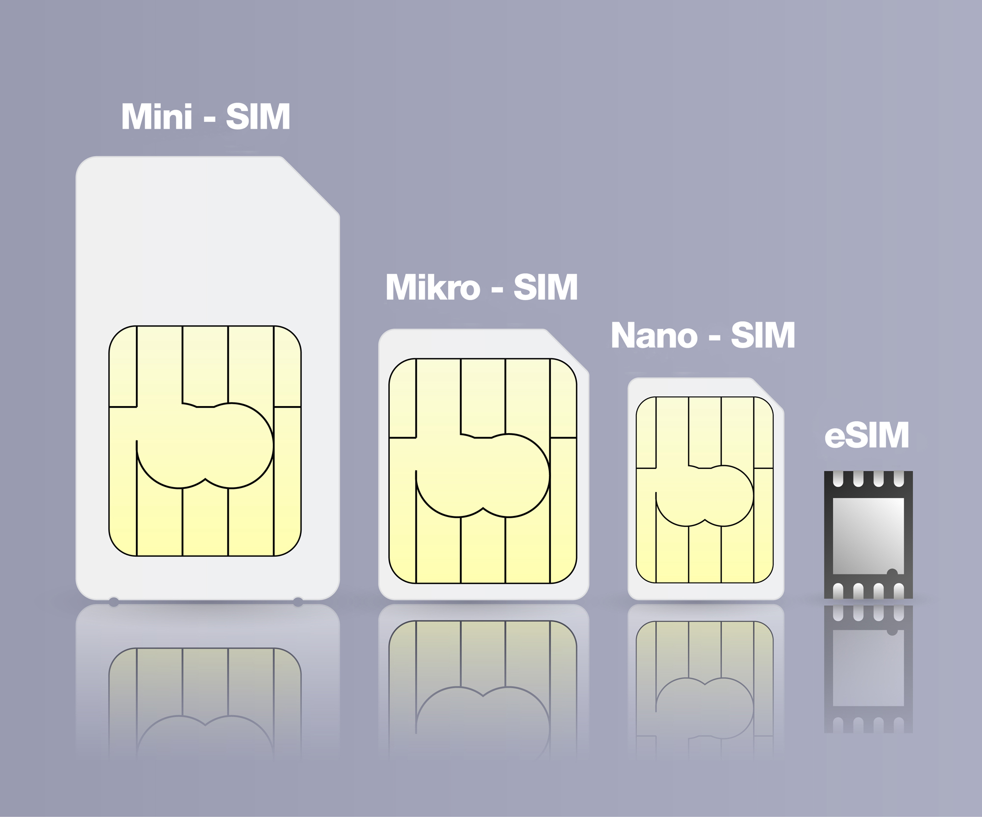 Nano SIM-карт (Esim