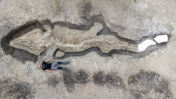 Enormous sea dragon fossil from 180 million years ago discovered in England thumbnail