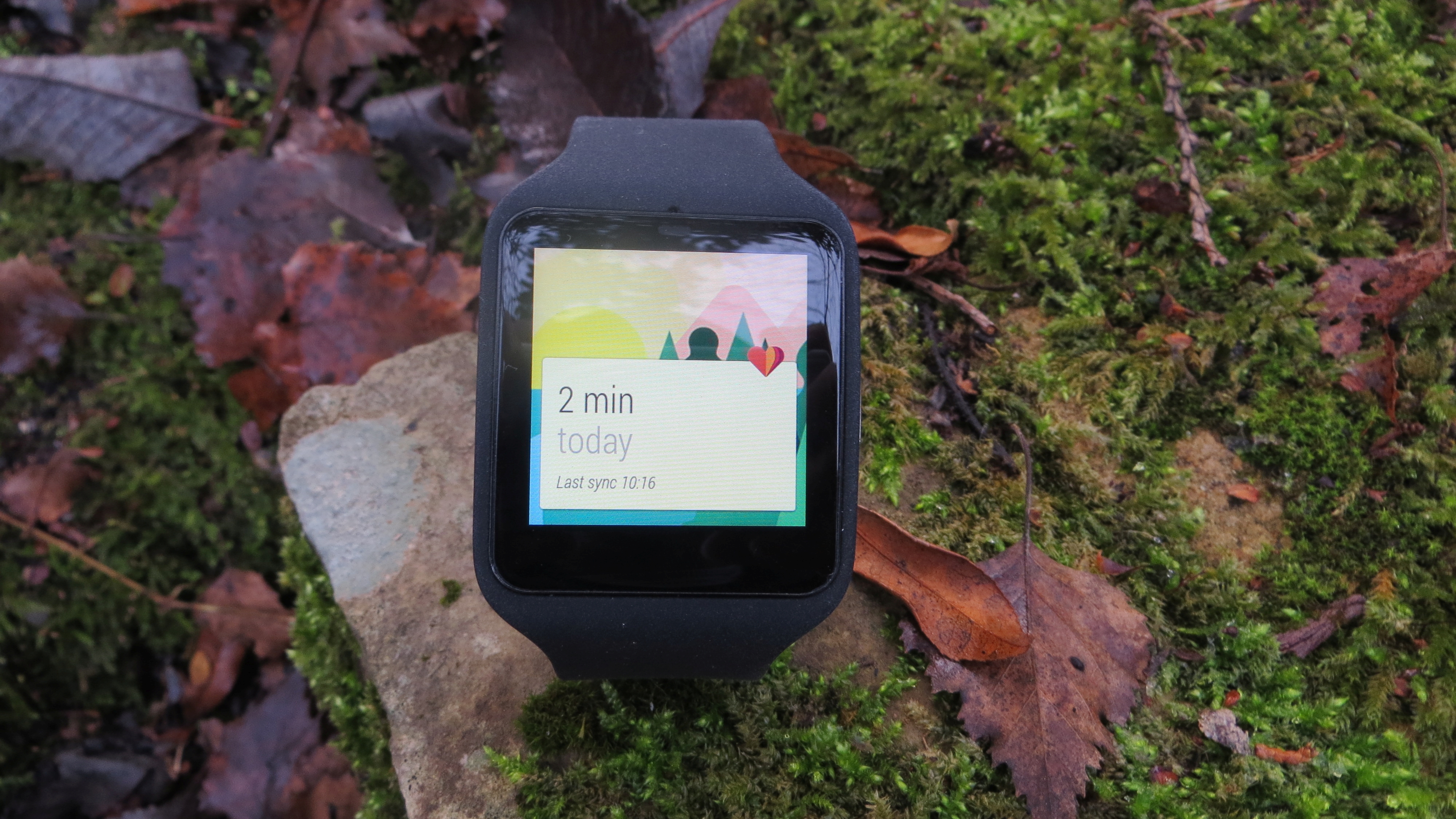 Sony SmartWatch 4