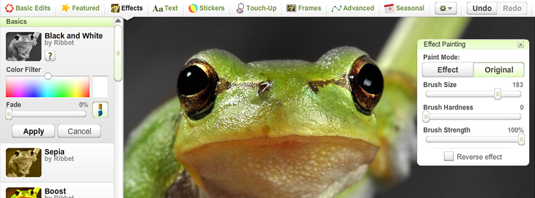 Collage maker : Ribbet