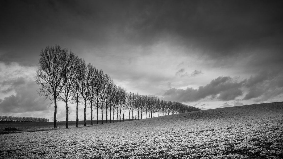 How to master black and white photography  TechRadar