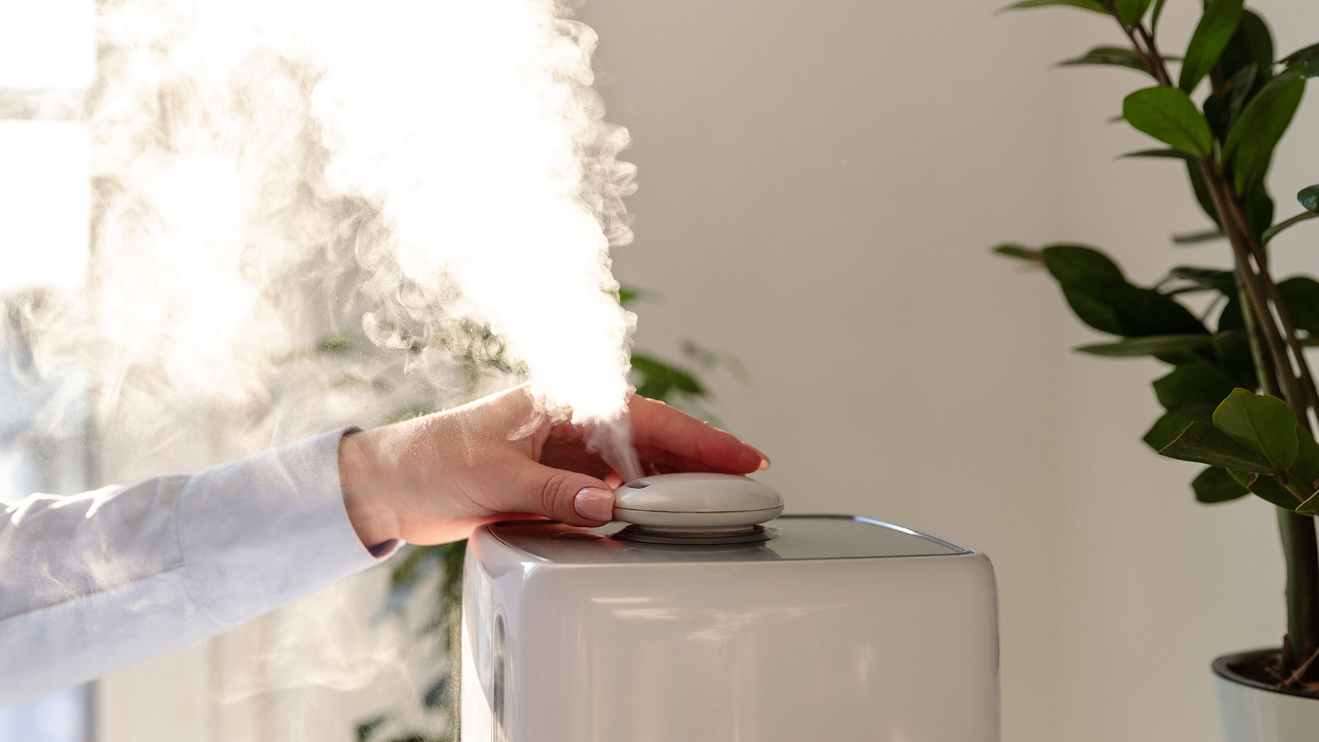 Best humidifiers 2021: Relieve dry skin & allergy symptoms with these humidifiers thumbnail