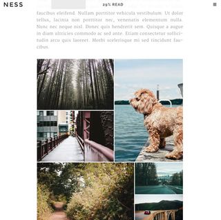 Web şablonları Ness