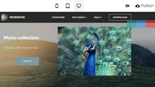 4 Build your pages
