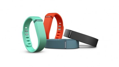 Fitbit Flex