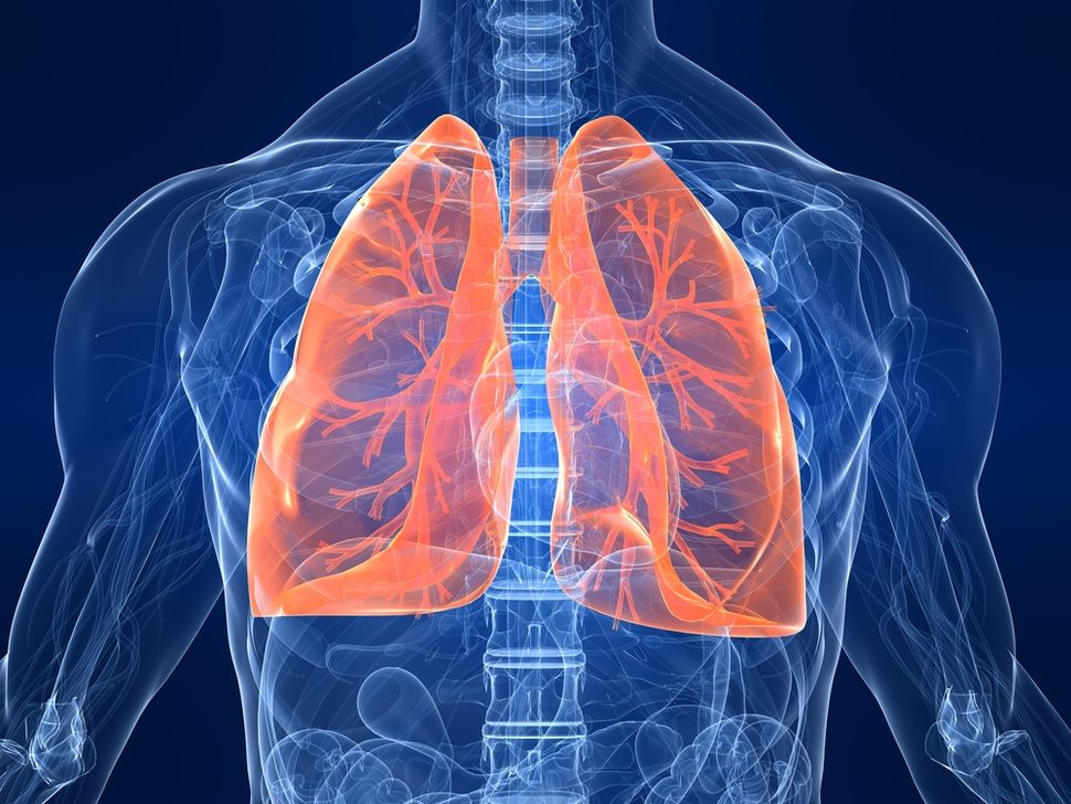 Gasp Surprising Facts About The Respiratory System Live Science