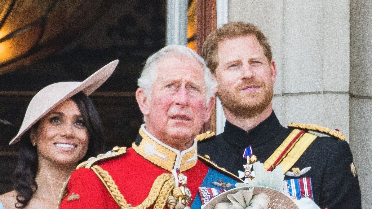 King Charles Iii Prince Harry