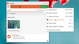 TinyTake screen recorder