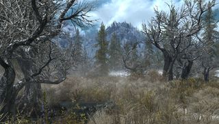 Skyrim Floral Overhaul