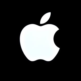 apple black friday logo