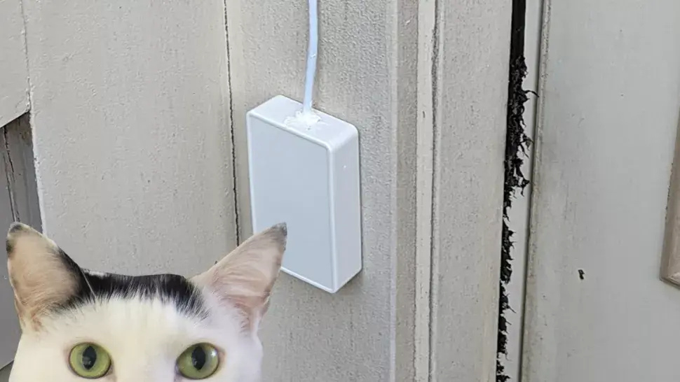  This Raspberry Pi-powered cat doorbell is purrfect
 