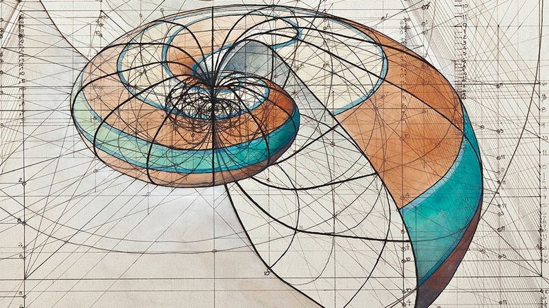 Artists will love this Golden Ratio colouring book | Creative Bloq