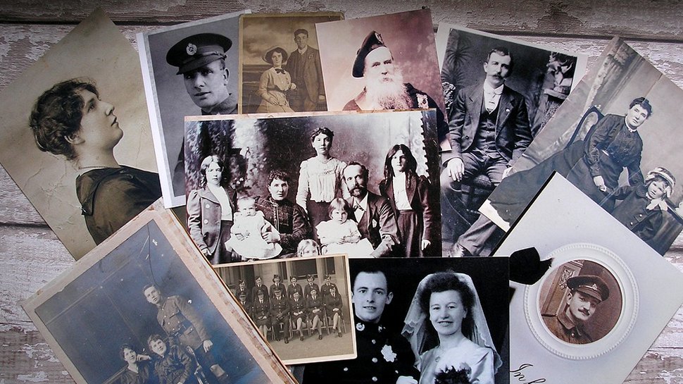 the best genealogy websites for android