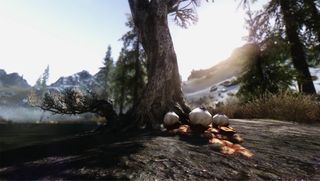 RealVision ENB