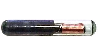 RFID Chips