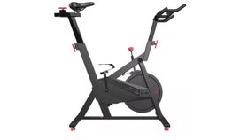 Domyos Basic Exercise Bike 100