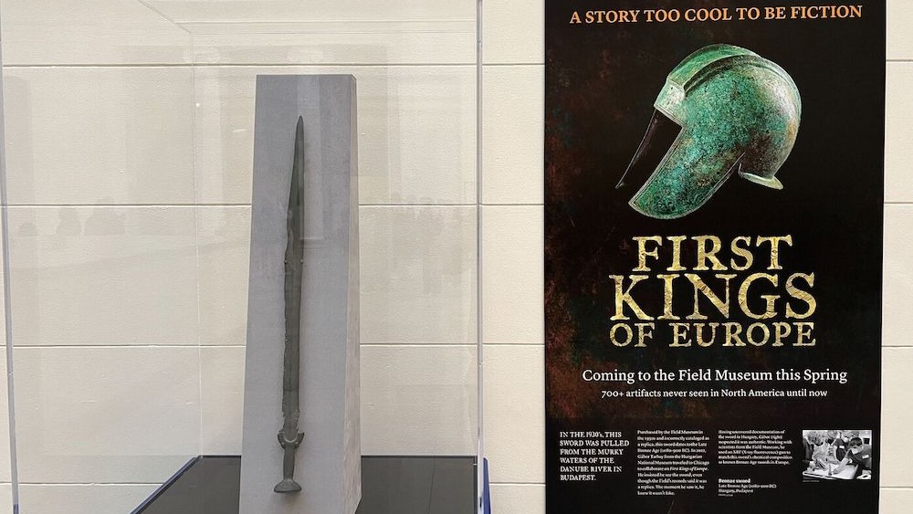 ‘Replica’ sword is really 3,000 years old and may have been used in battle