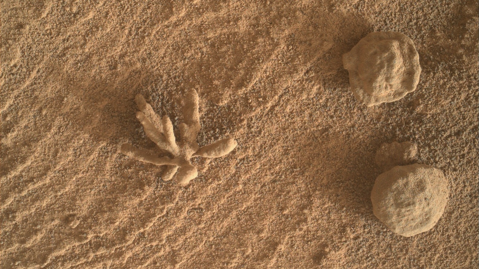 Curiosity rover snaps close-up of tiny 'mineral flower' on Mars thumbnail