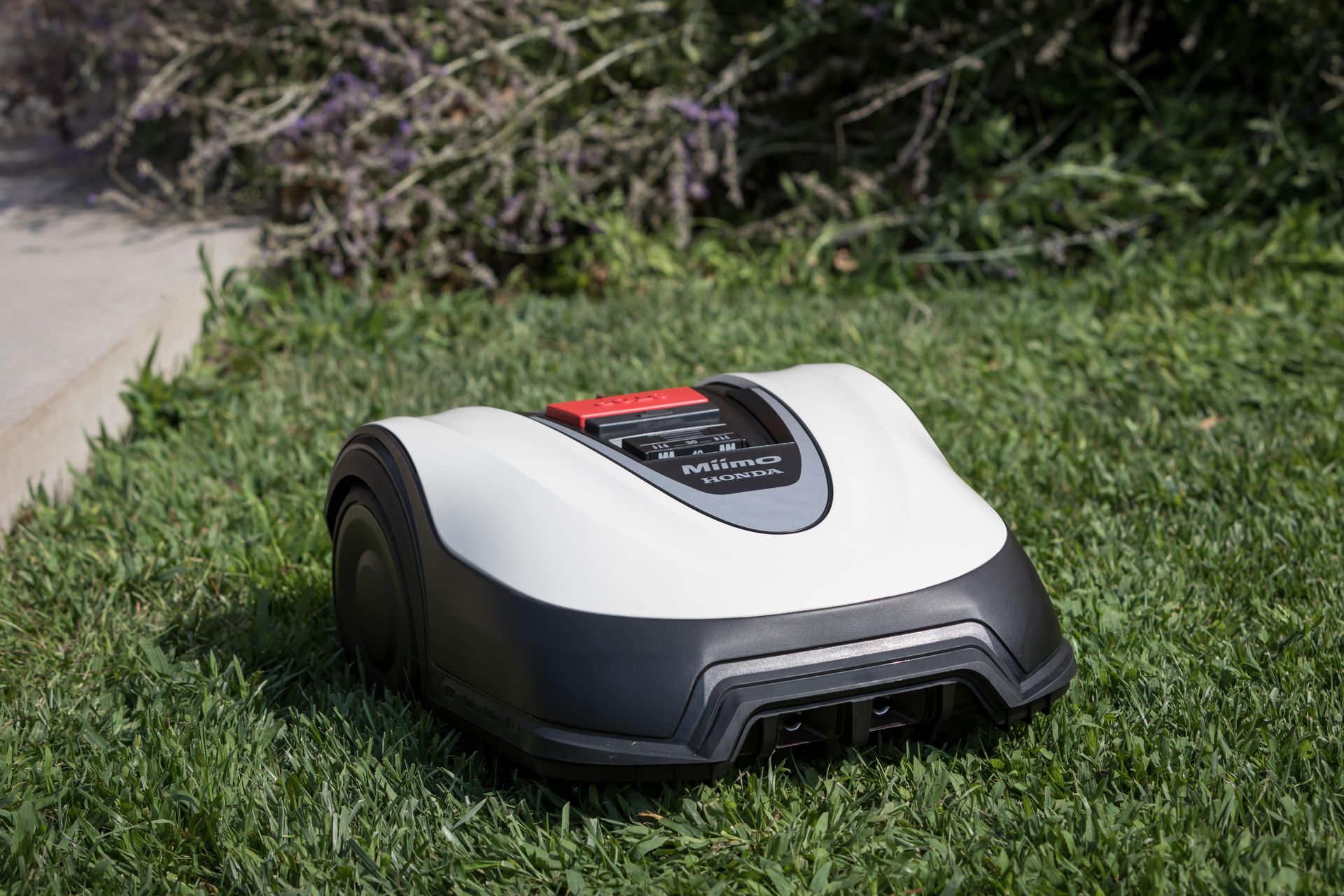 Honda Miimo HRM 40 Live Lawn Mower Review A Reasonably Price Robot