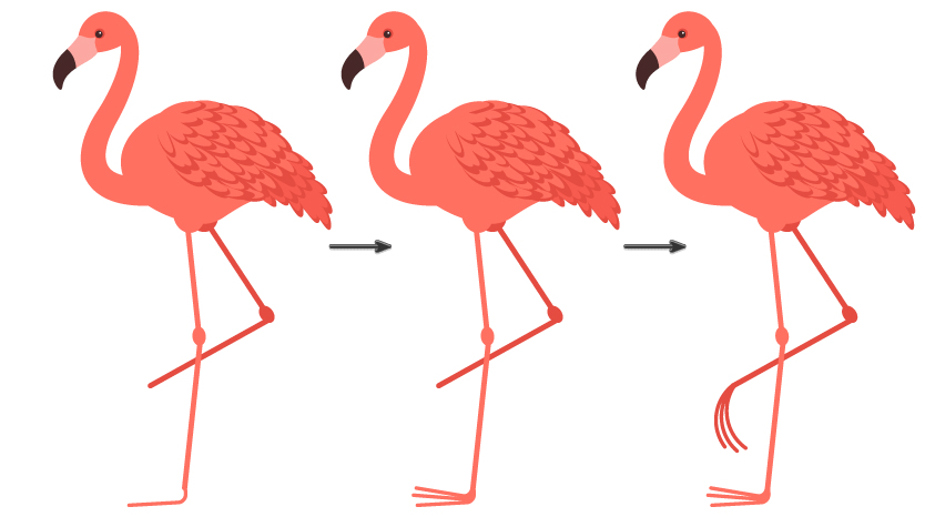 Illustrations of flamingos