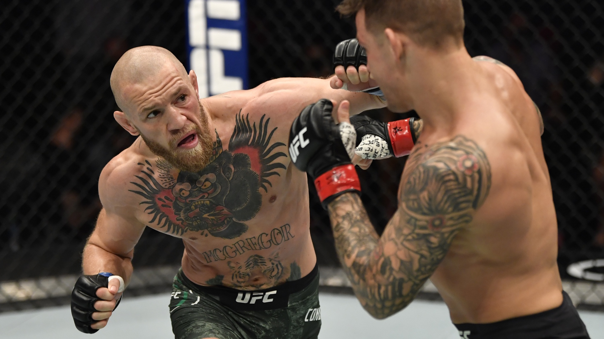 Ufc Fight Night Early Prelims Live Streaming Online