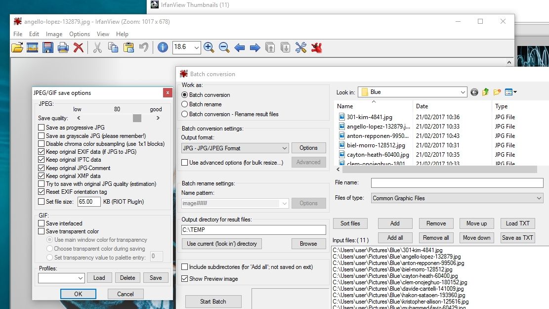 software irfanview free download