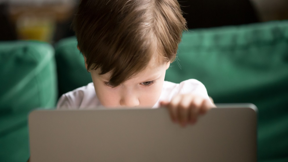 The point of the UK 'porn block' is to protect children online