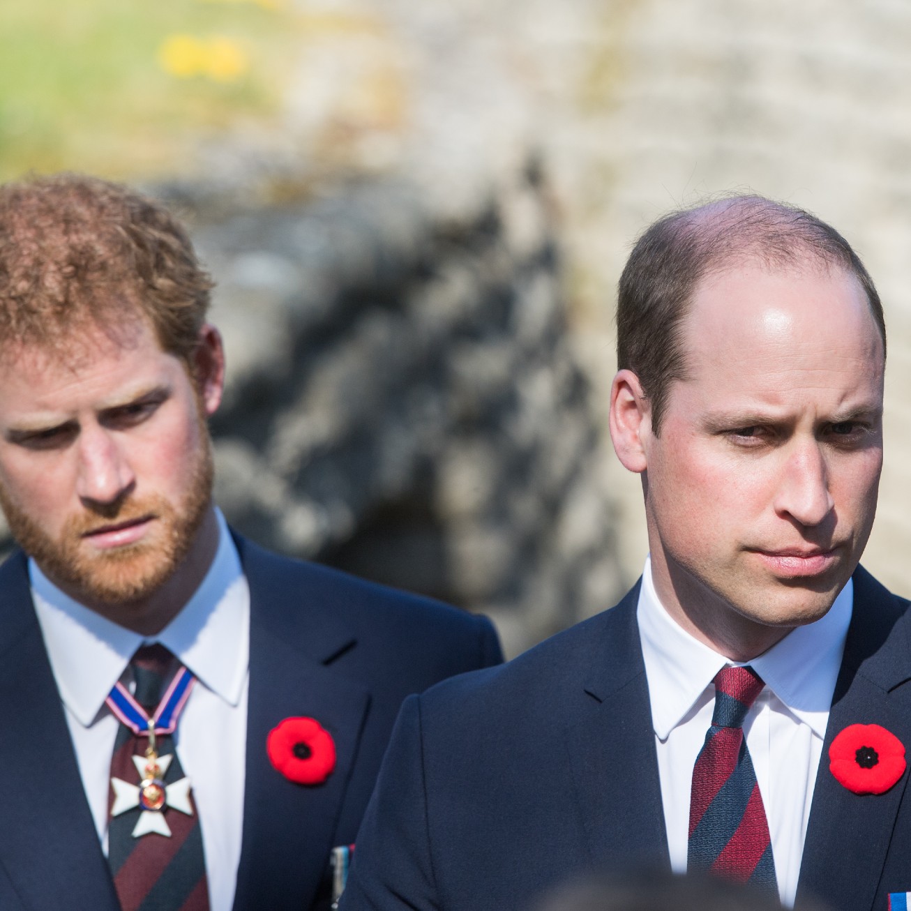  Prince Harry's relationship with Prince William 