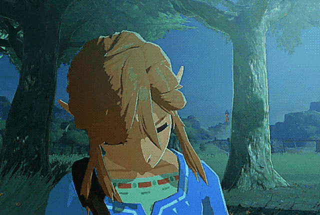 A gif of Link from The Legend of Zelda looking sleepy