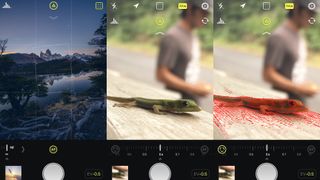New this week Halide
