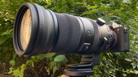 Sigma 150-600mm f/5-6.3 DG DN OS | S