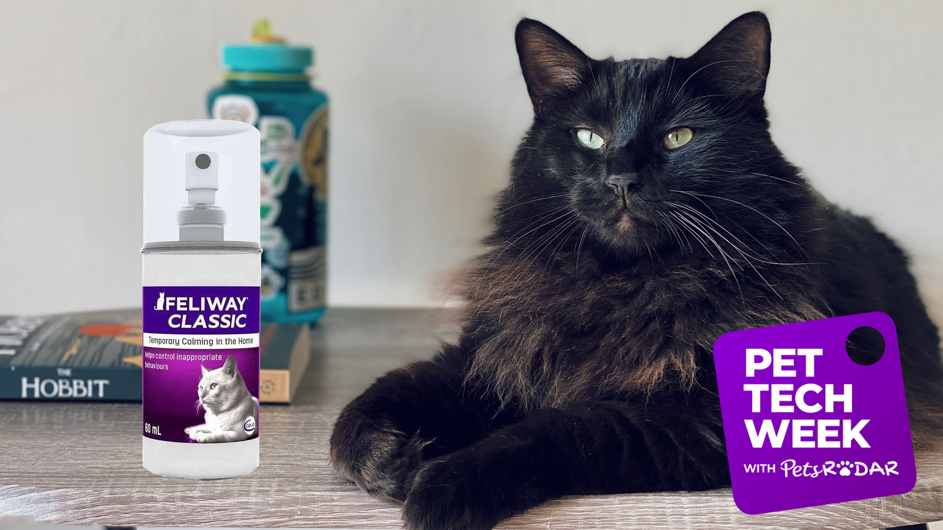 spray feliway friends