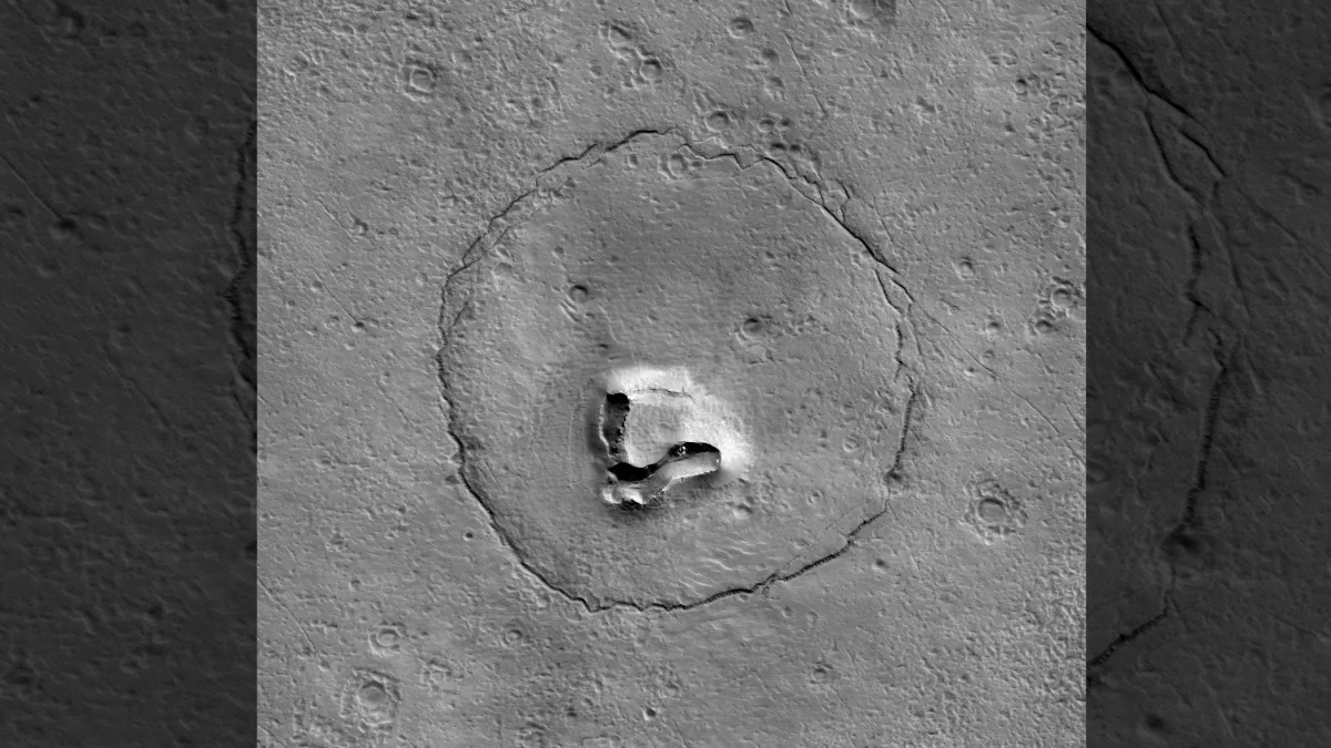 NASA spies Martian rocks that look just like a teddy bear