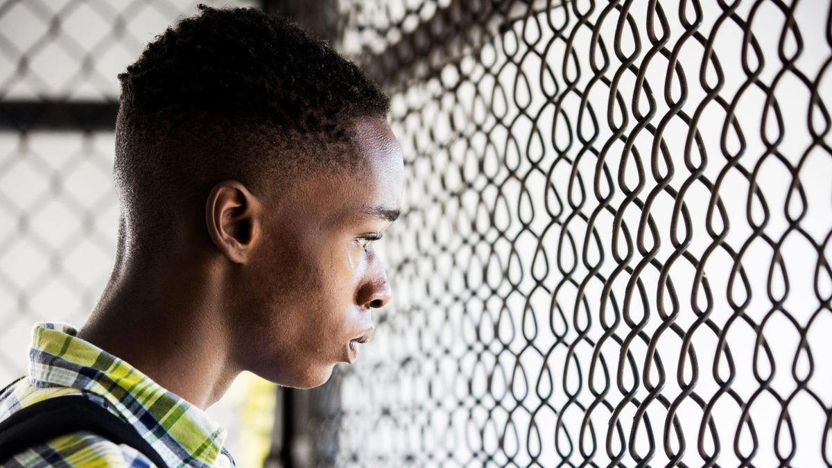 Movies to watch on Blu-Ray and DVD: Moonlight, The Lego Batman Movie, and more