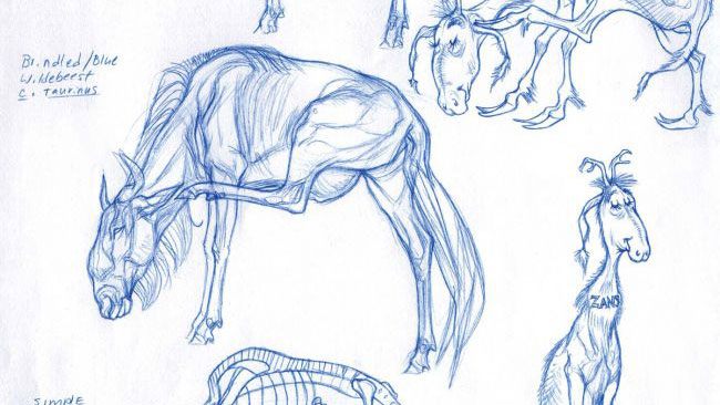 Art techniques: sketches of animals
