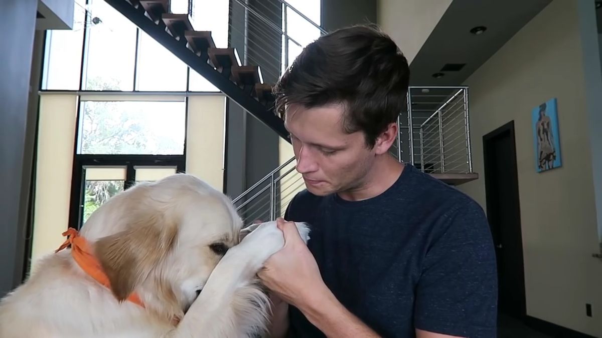 Counter-Strike gambling YouTubers could be "looking at real jail time"