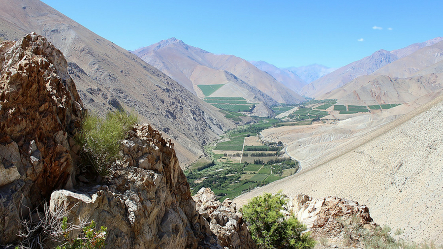 Chile's Elqui Valley